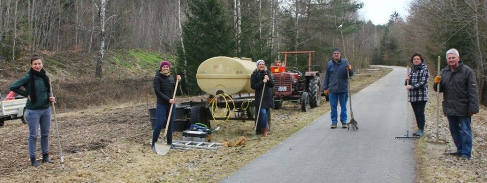 Birnbaumpflanzung und Blühflächen in Nammering