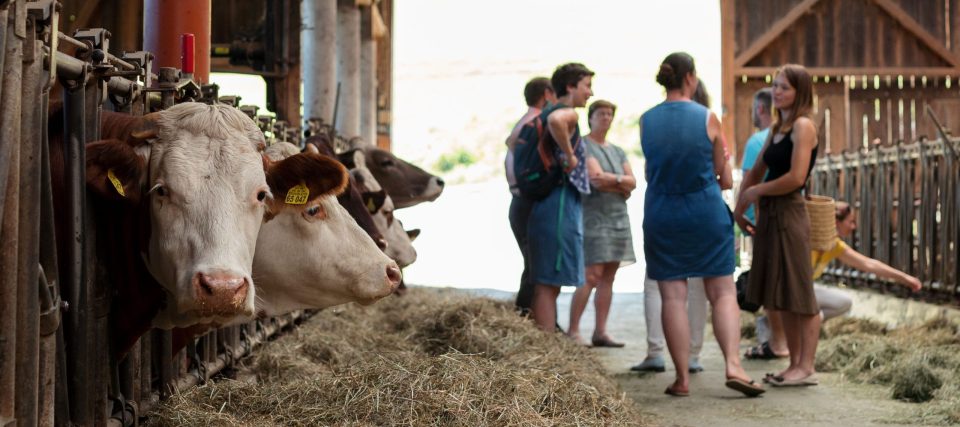 Herzliche Einladung zu den Bio-Erlebnistagen im Passauer Oberland