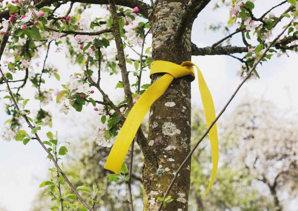 Gelbes Band sehen und reifes Obst ernten