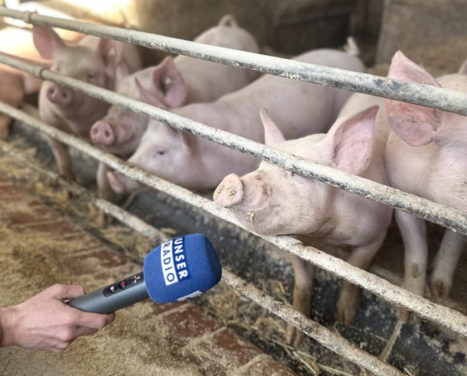 Bio-Geschichten auf die Ohren