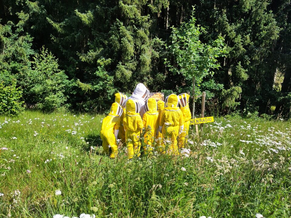 Auf Du und Du mit der Honigbiene